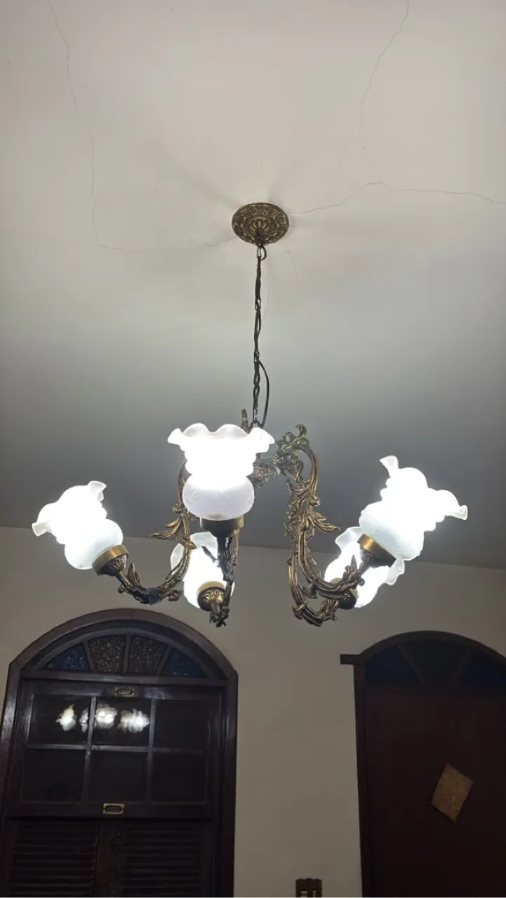 Lustre Clássico com 5 Braços e Cúpulas de Vidro