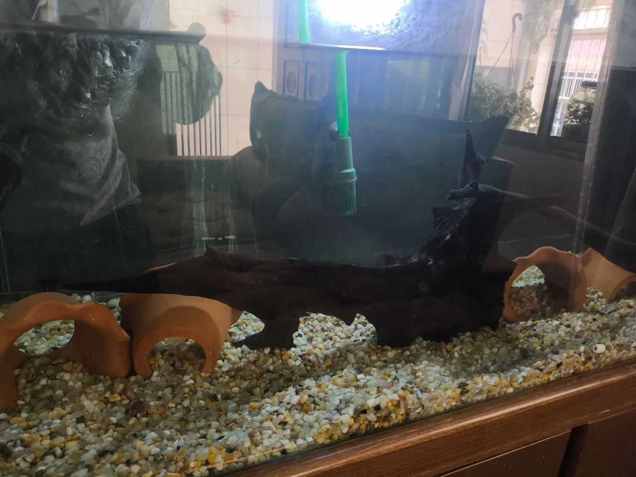 Aquário Completo com Móvel - Foto 2