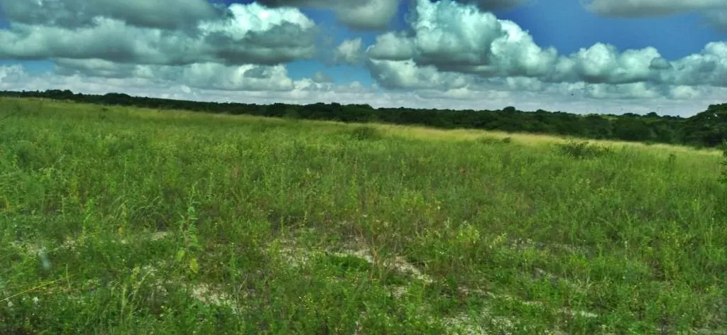 Sítio à venda, 300000 m² por R$ 1.500.000,00 - Ceará-mirim - Ceará-Mirim/RN