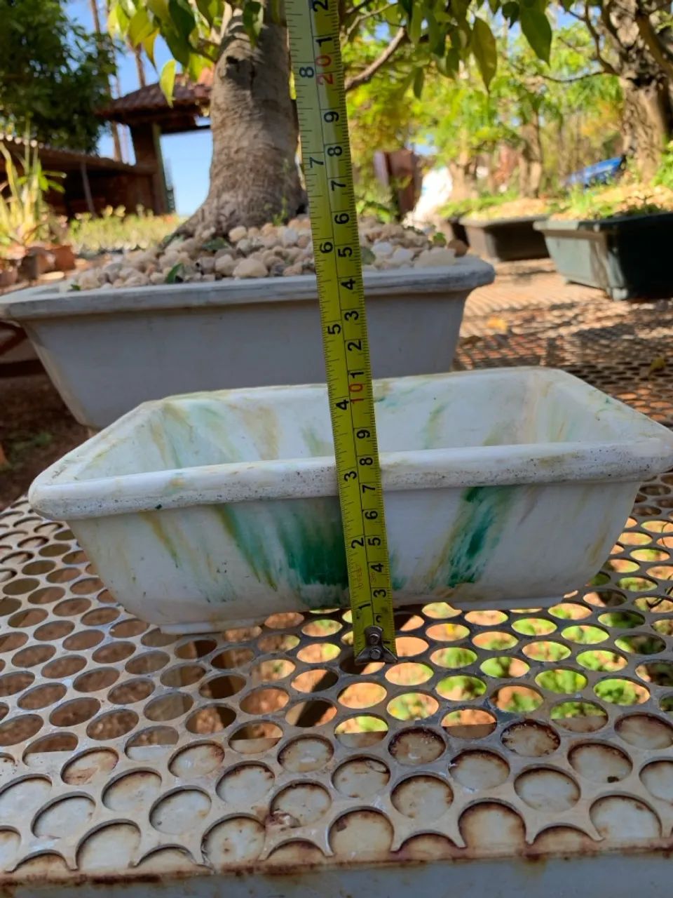 Vaso Retangular para bonsai - Foto 4