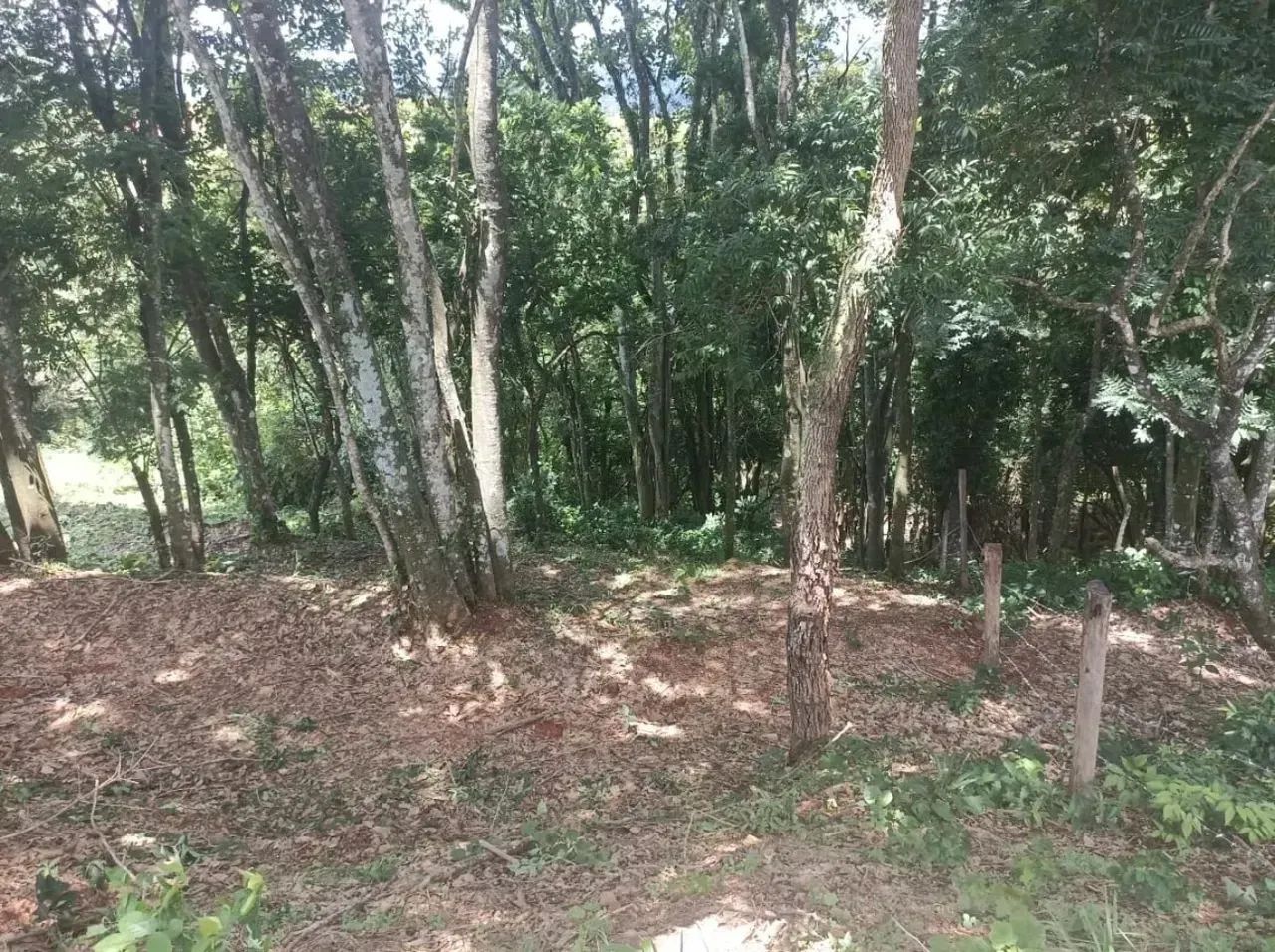 Hotel/Motel/Pousada para venda tem 20 metros quadrados com 1 quarto - Foto 12