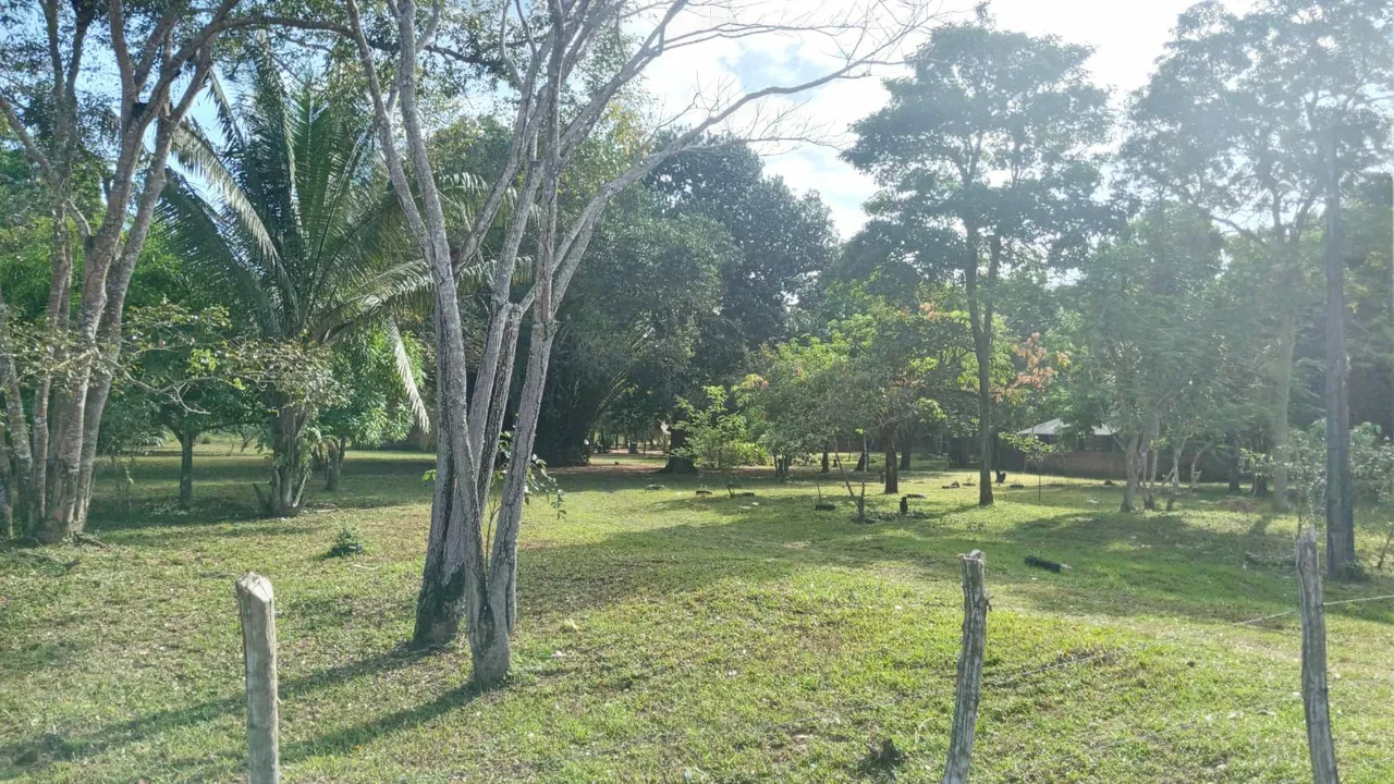 VENDE-SE SÍTIO NO POVOADO PRATA (ROSÁRIO/MA)