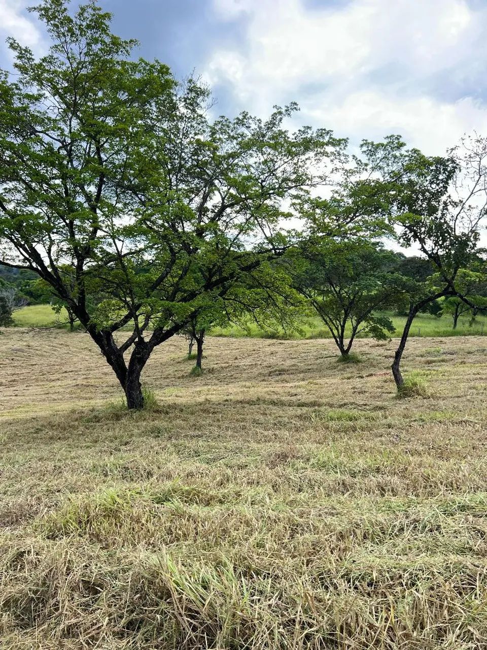 Terreno de 20 mil em para de minas  - Foto 2