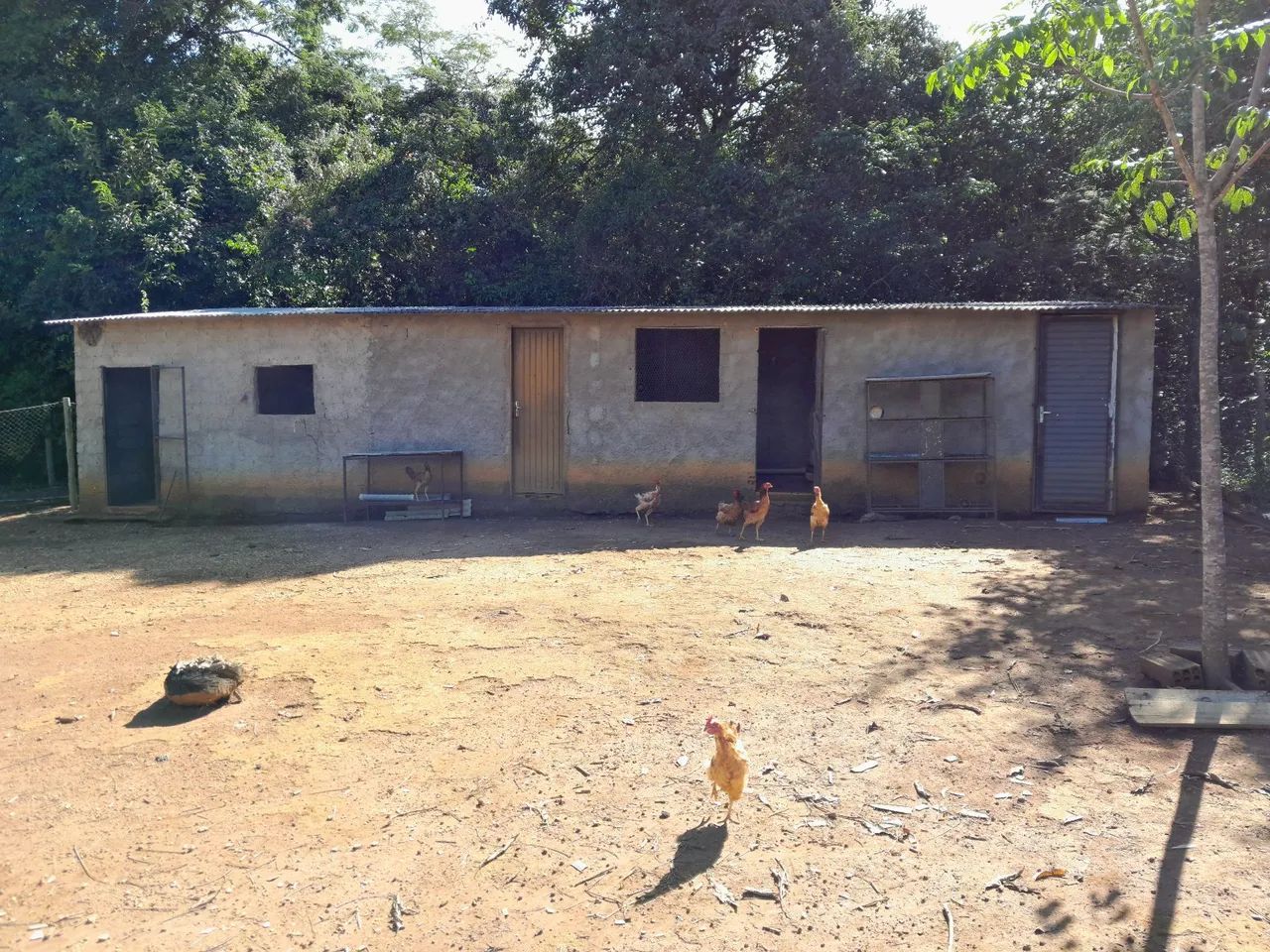 Chácara 7.500M2 em Bonfinópolis-Go  - Foto 9