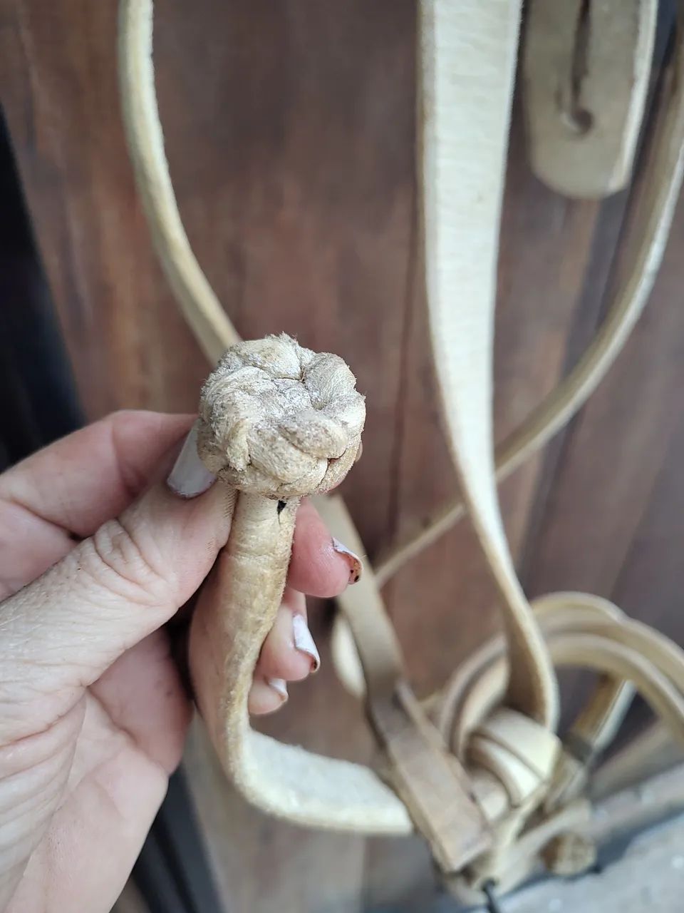 Cabresto buçal modelo sapo em couro  - Foto 5