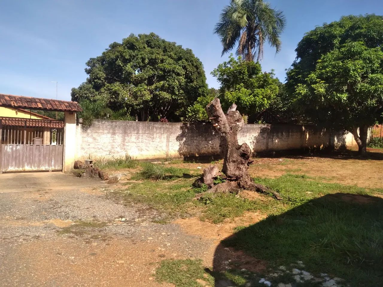 Vendo chácara formada ! - Foto 3