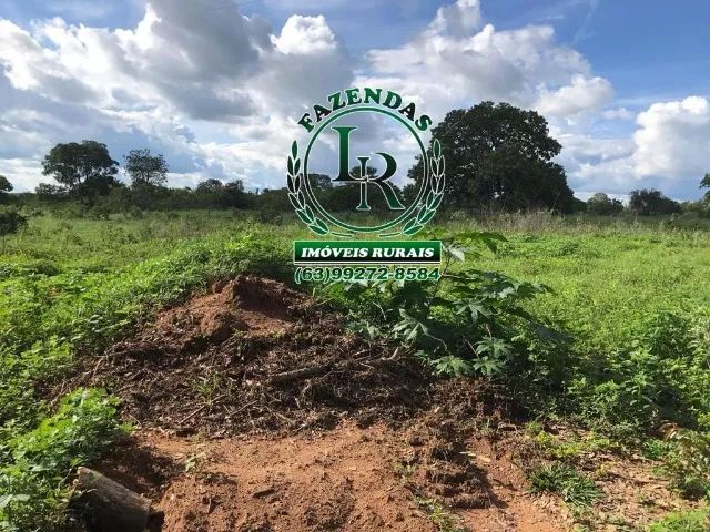 Fazenda 292 Alqueires Dupla Aptidão - Foto 5