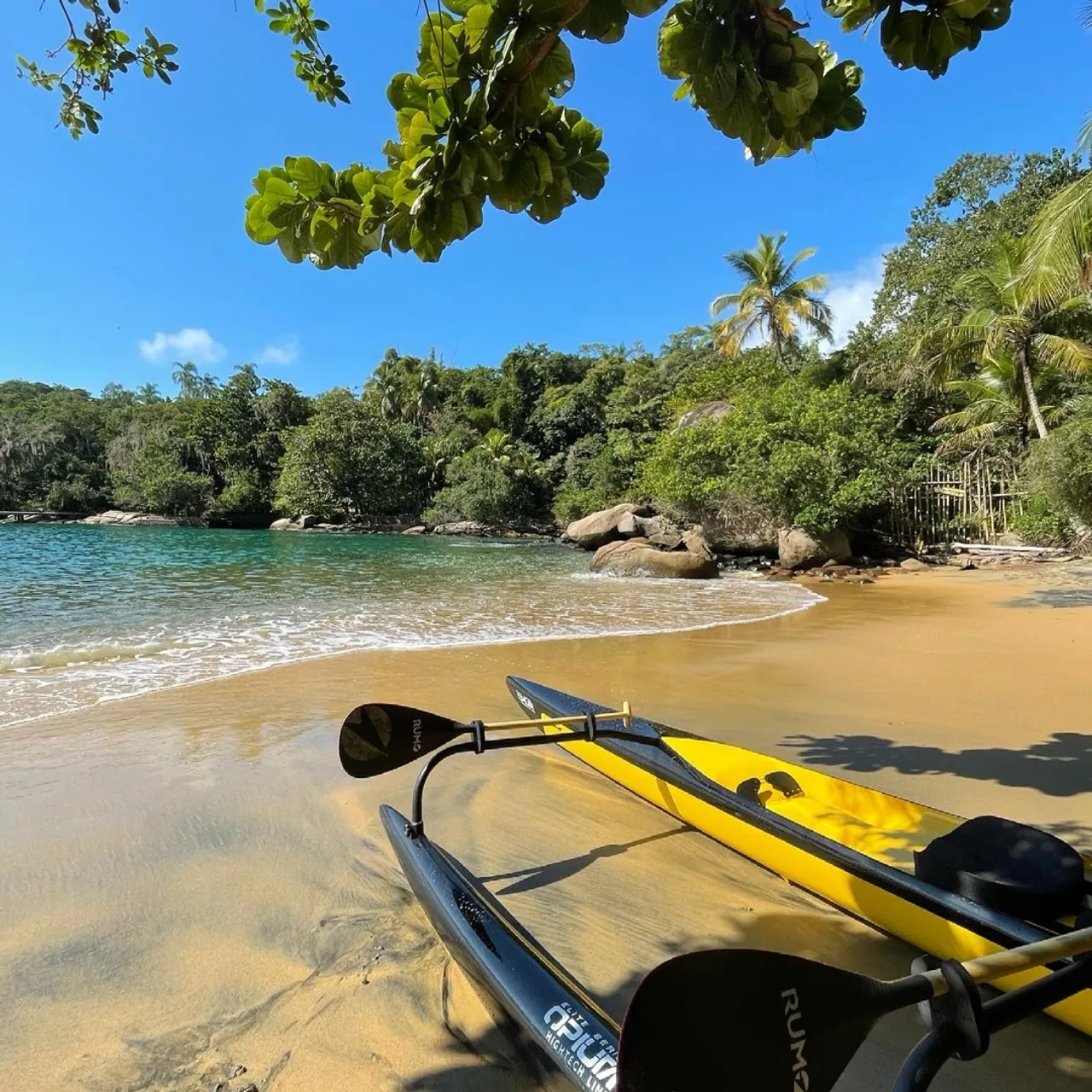 Canoa havaiana Oc2 Opium