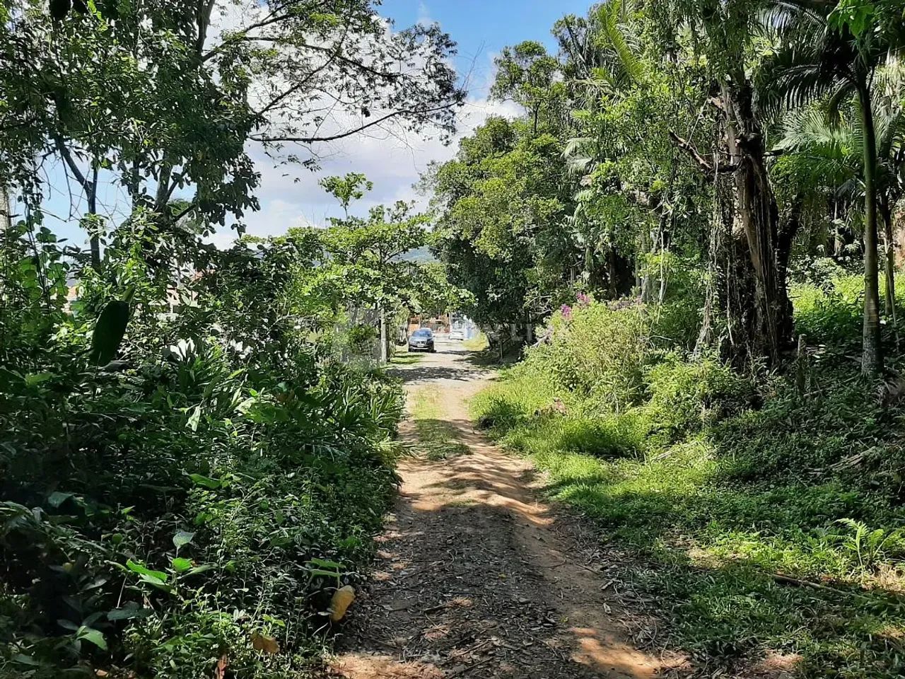 Terreno - Quilombo - Foto 5