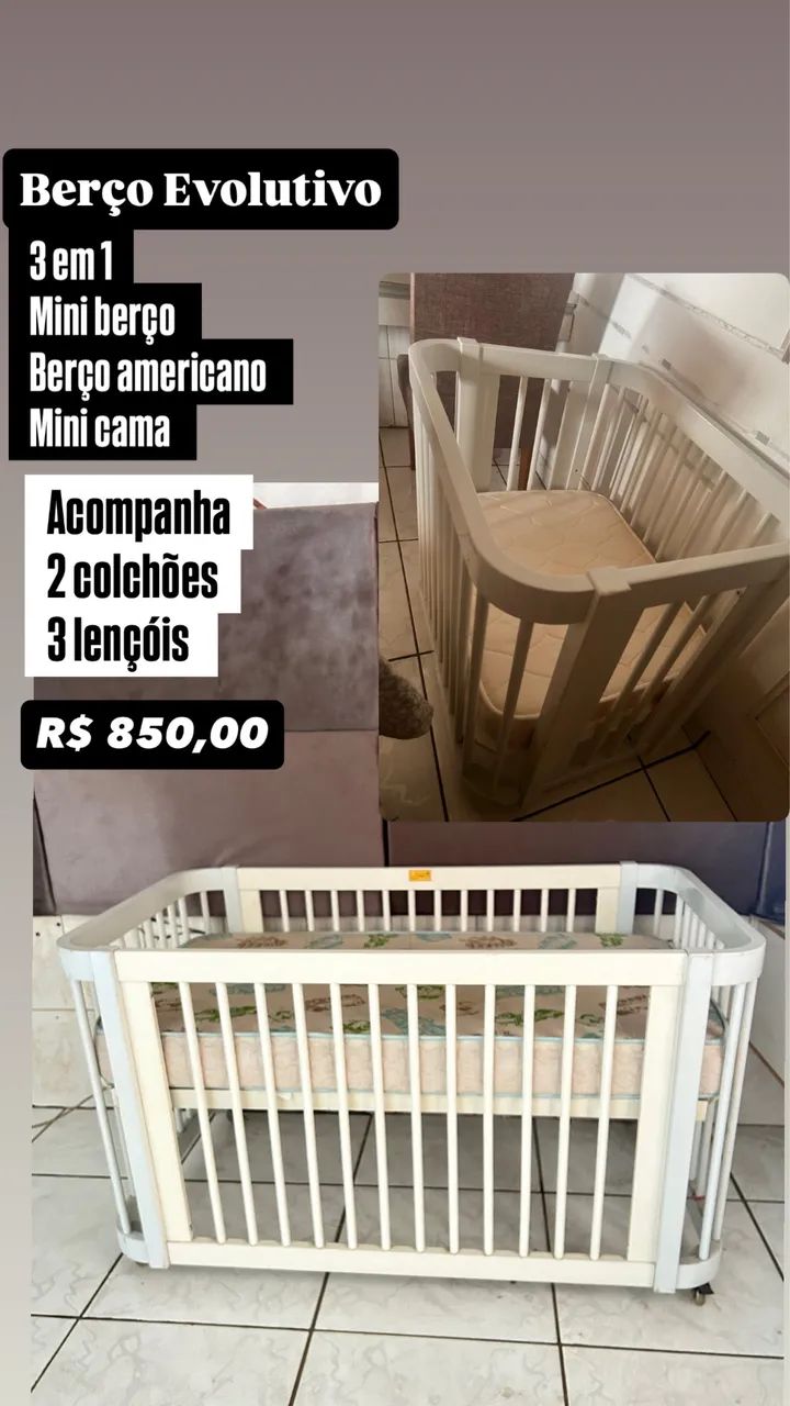 Berço evolutivo 64573909879169123