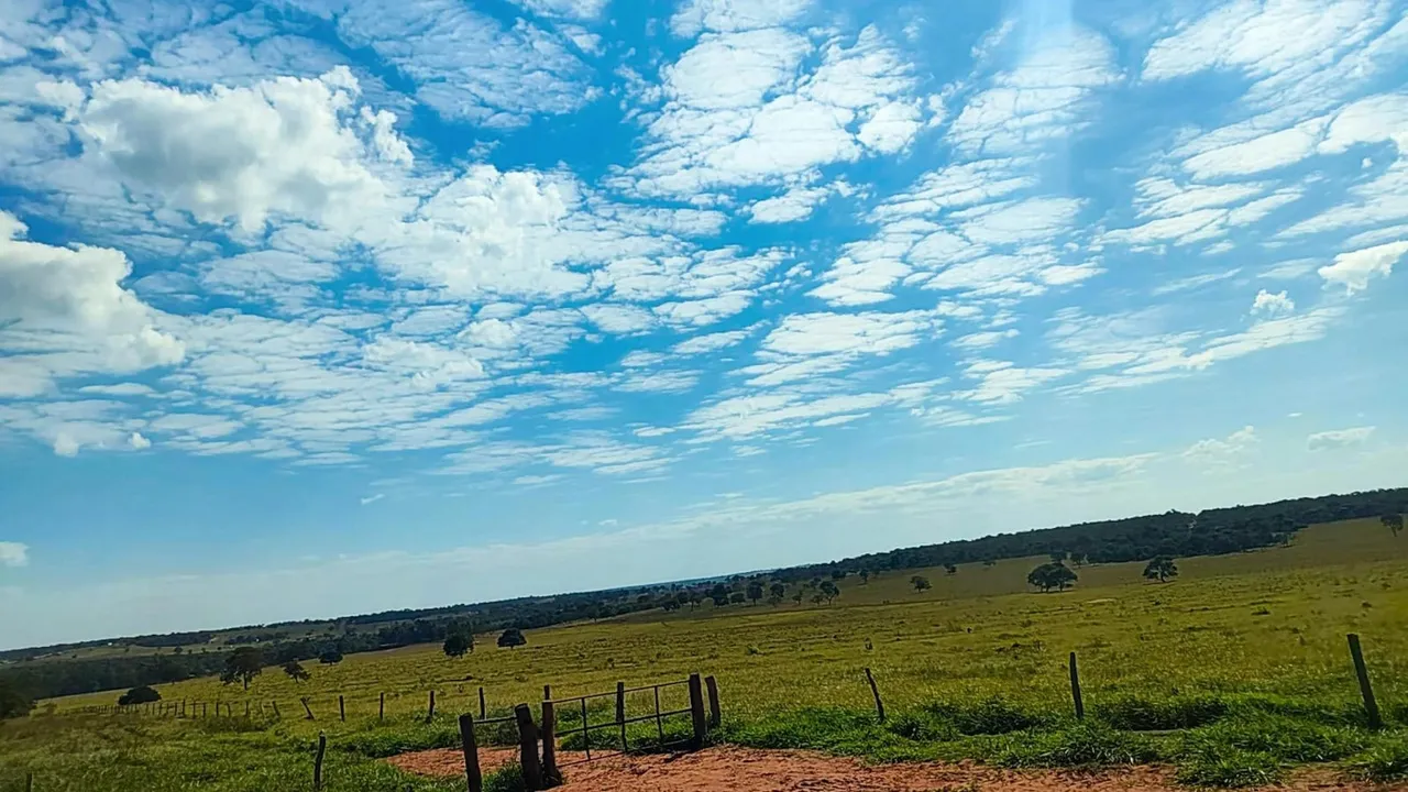 Vendo Fazenda de 650 ha Santa Rita do Pardo/MS (28 km de divisa com Campo Grande)