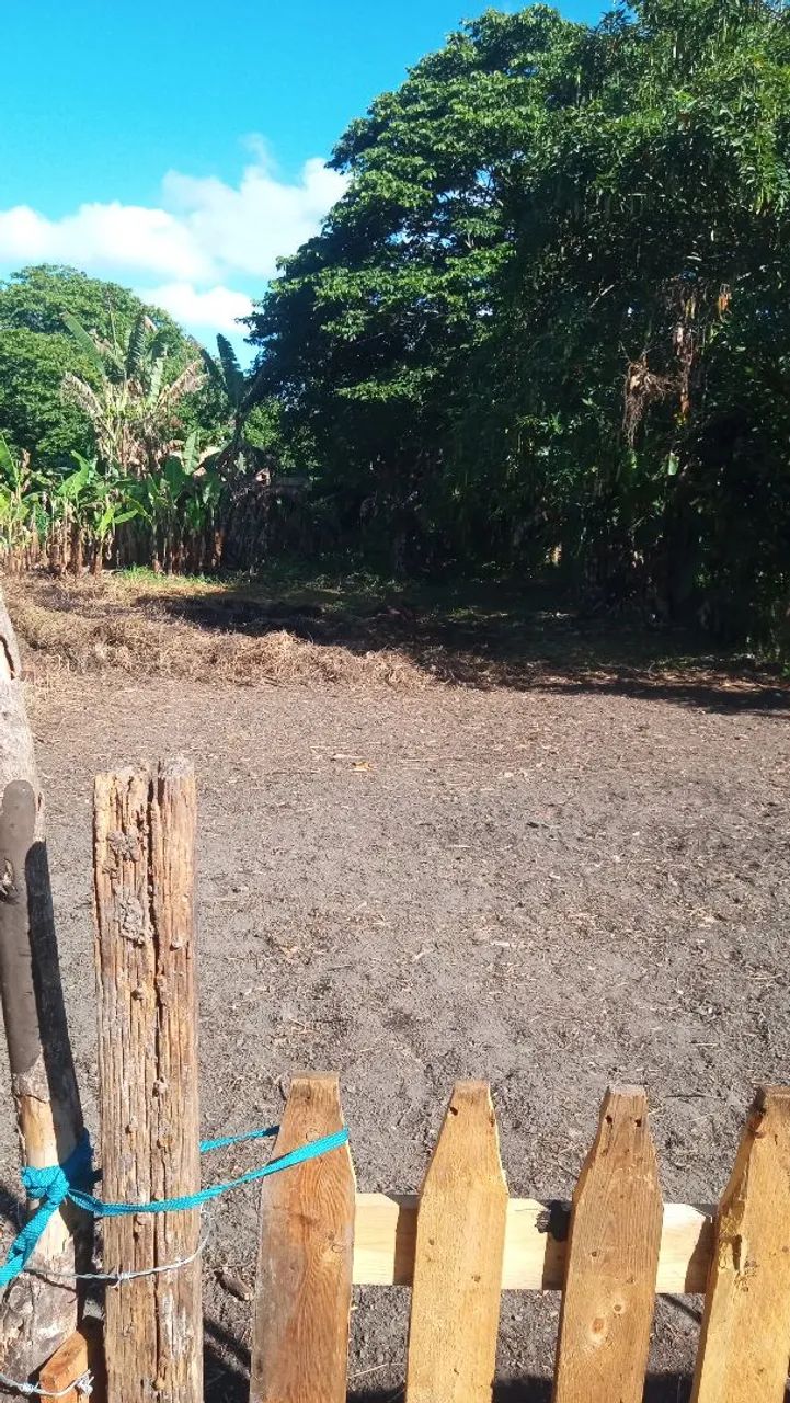 Vende-se um terreno em palmares Simões filho - Foto 4