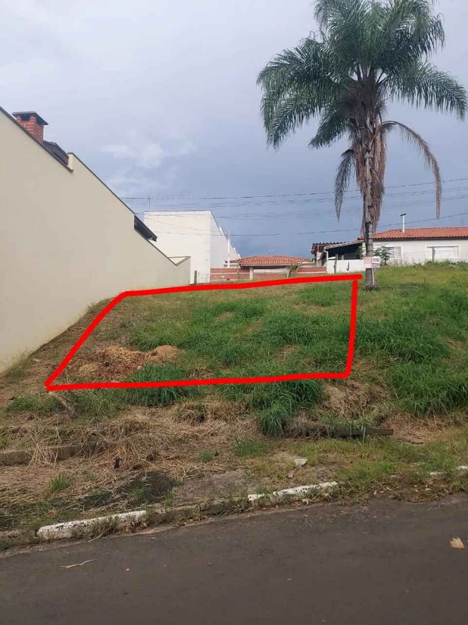 Foto - São Pedro - Vila Nova