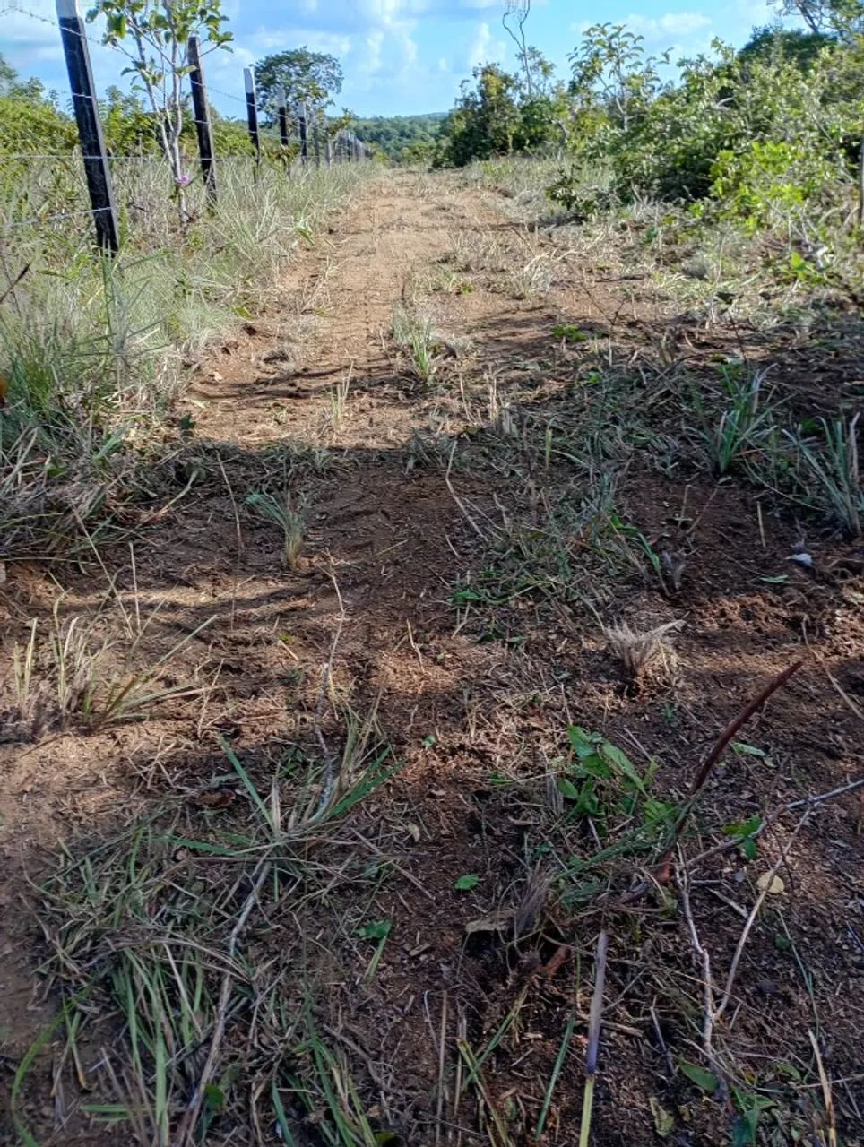 Terreno - Foto 5