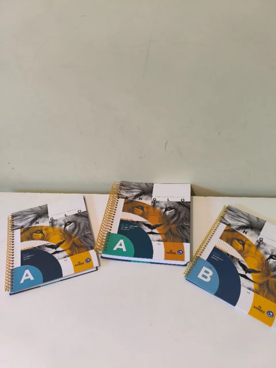 Material Anglo para Estudo  - Foto 4