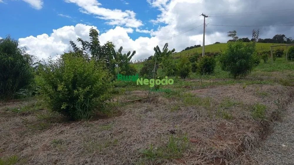 CHÁCARA FORMADA DE FÁCIL ACESSO EM CAMBUI-MG - Foto 5