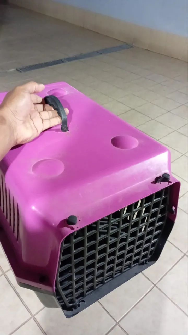 Cauxa de transporte pet para cães e gatos - Foto 3