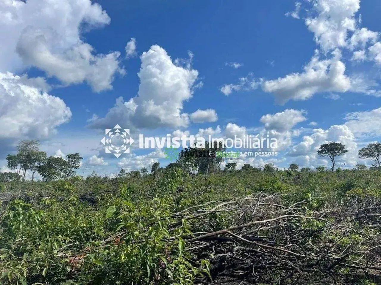Fazenda de 58 alqueires em estágio de abertura no Tocantins - Foto 4