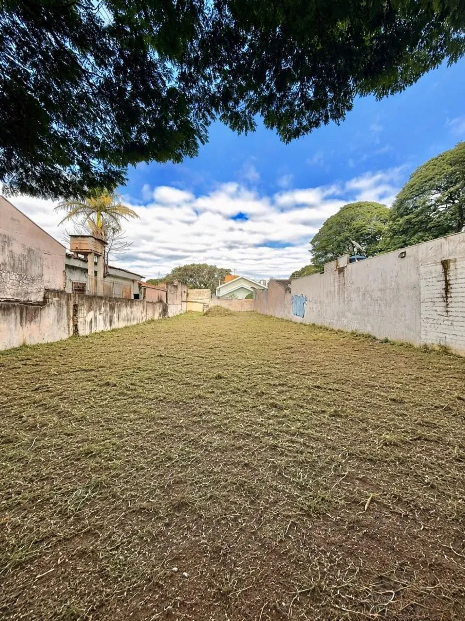 Terreno Comercial na Av. Brasil | 531 m² | Zona 08 - Foto 2