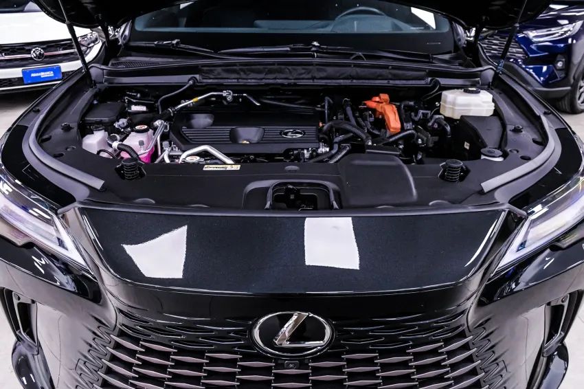 Lexus RX-450h 2.5 16V Aut. (híbrido), foto 6 de 19