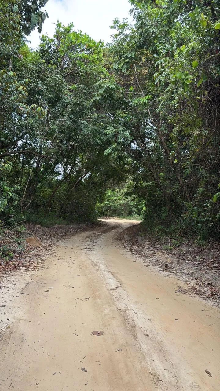 Terrenos e casa em área de praia