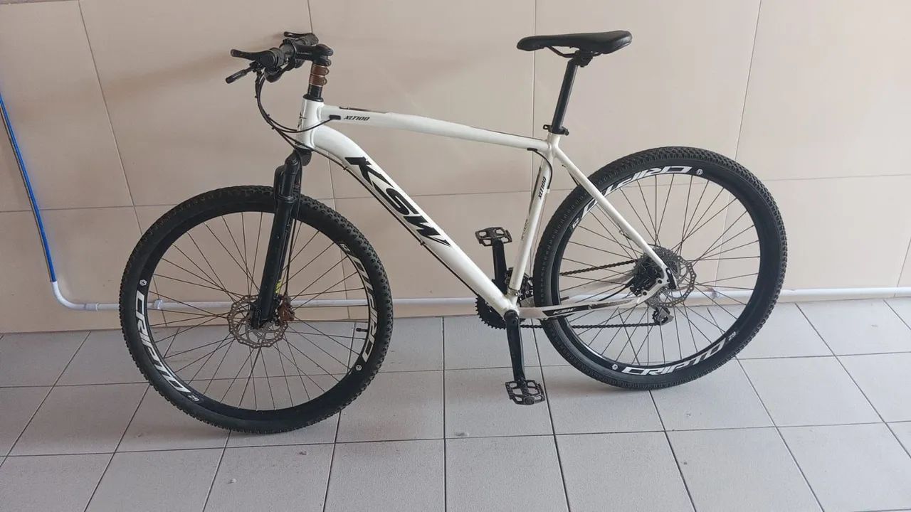 Bicicleta aro 29