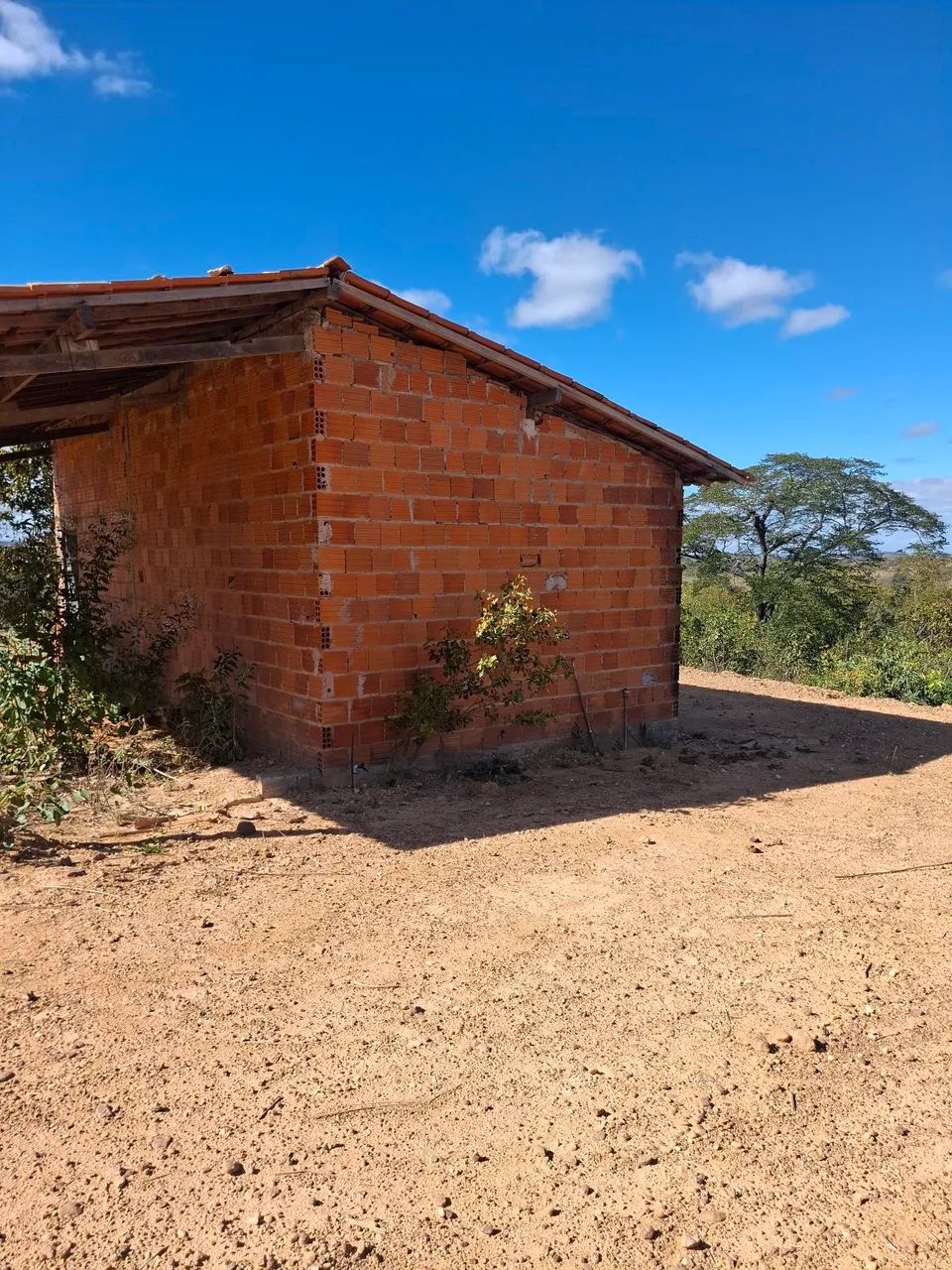 Chácara  - Foto 3