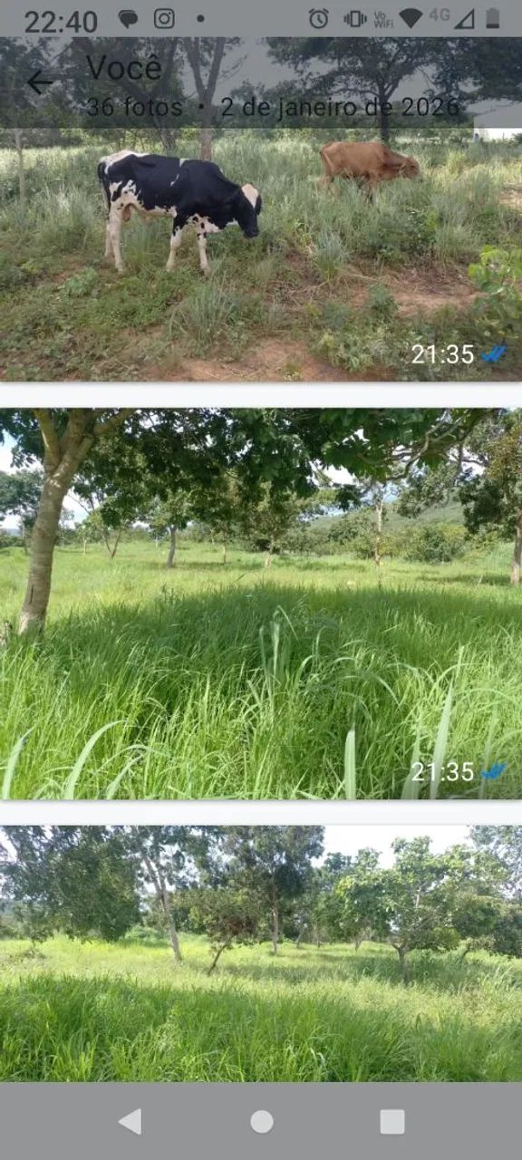FAZENDINHA  EM BURITIS MG - Foto 5