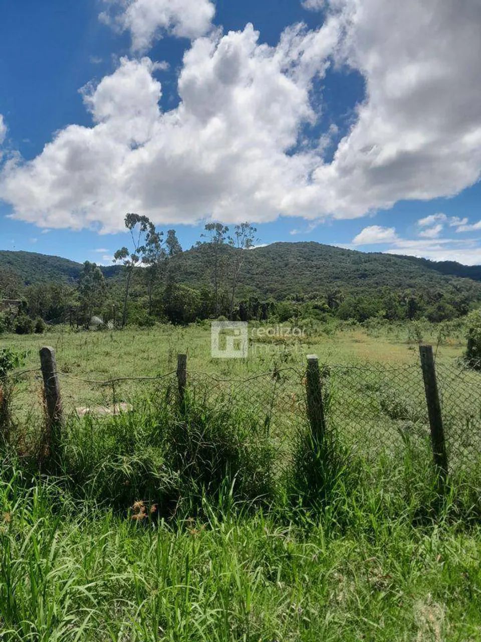 Terreno Residencial à venda, Ratones, Florianópolis - TE0124. - Foto 3