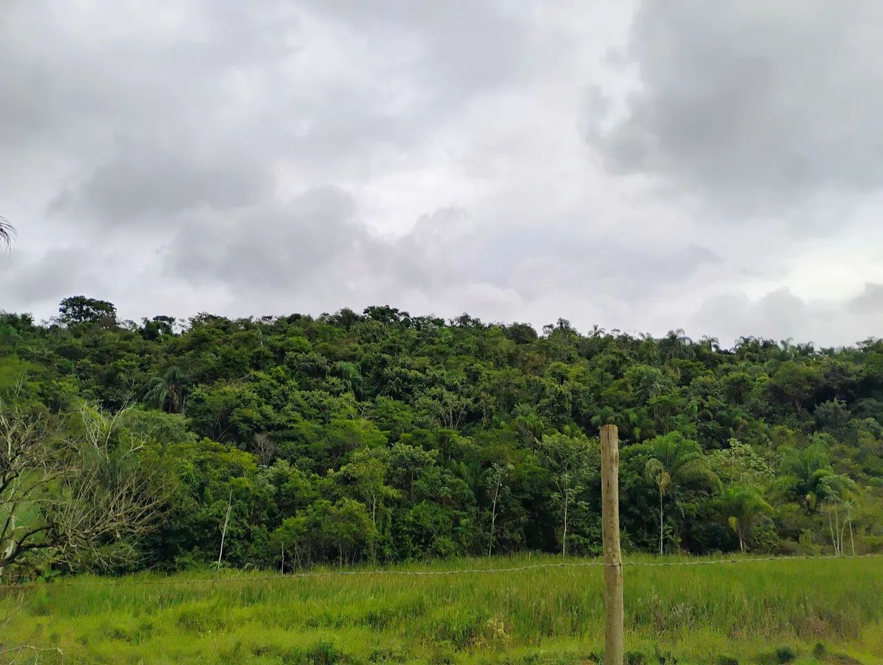 Foto - Juiz de Fora - Santa Terezinha