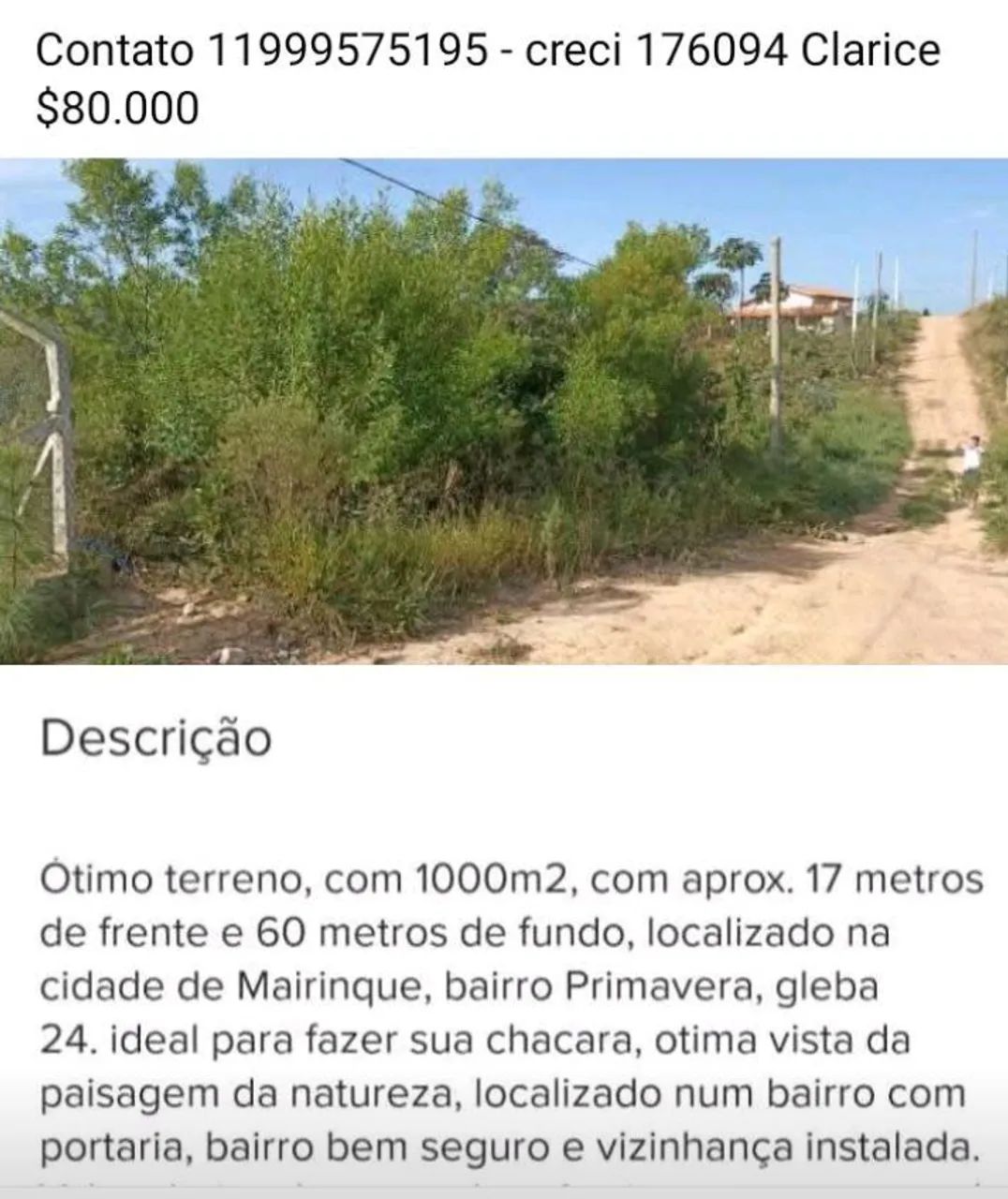 Gleba 24