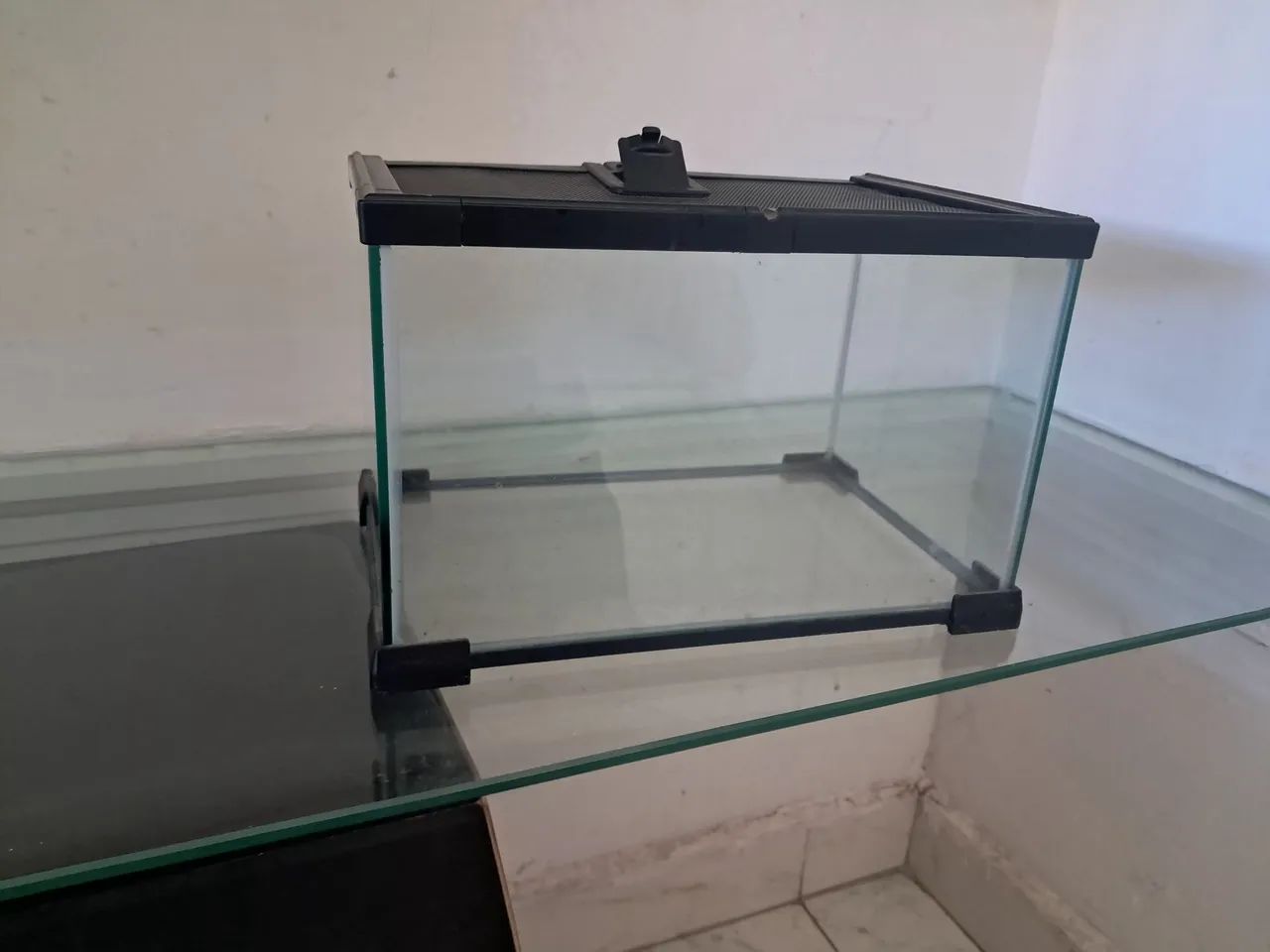 Terrario - Foto 3