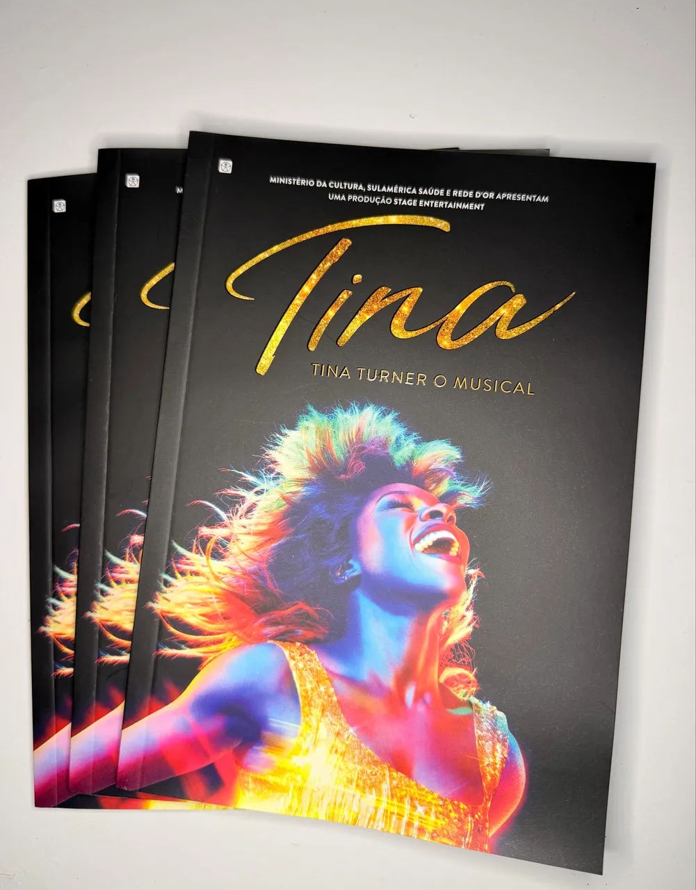 Programa Teatro - Tina Turner: O Musical 