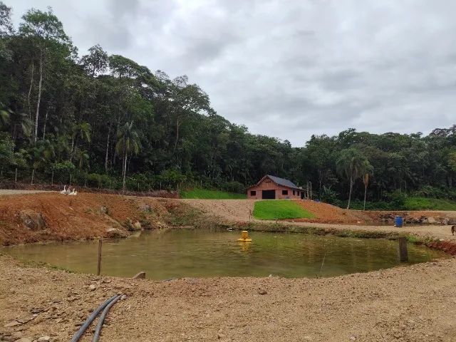 Sítio na Vila Itoupava  - Foto 5