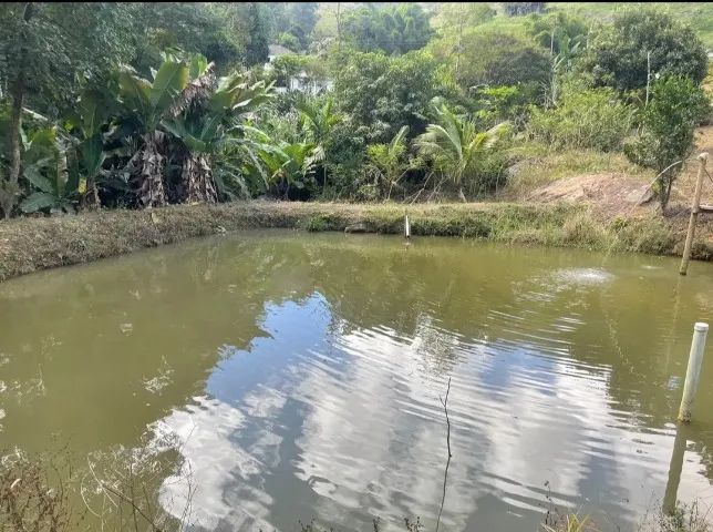 Chácara paraíso abaixo pra 189 mil  - Foto 5