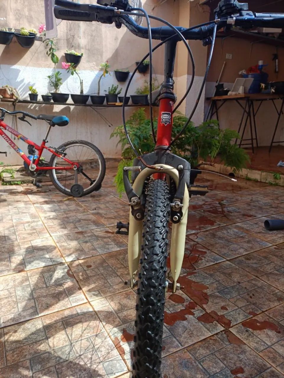 Bicicleta  - Foto 4