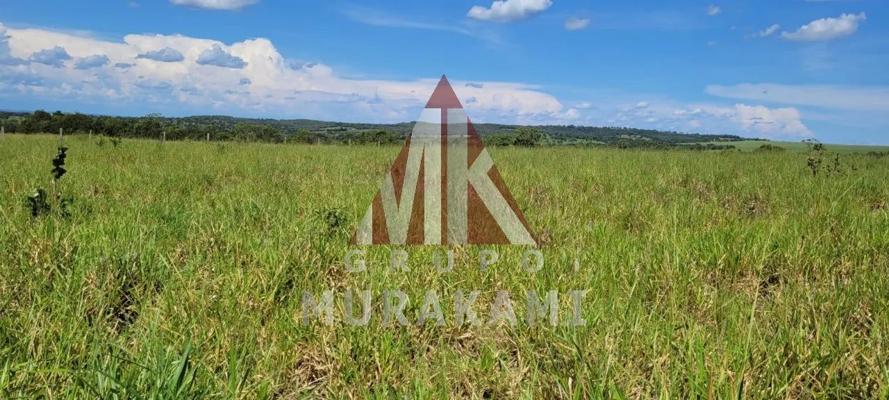 FAZENDA - SONORA - MS - Foto 3