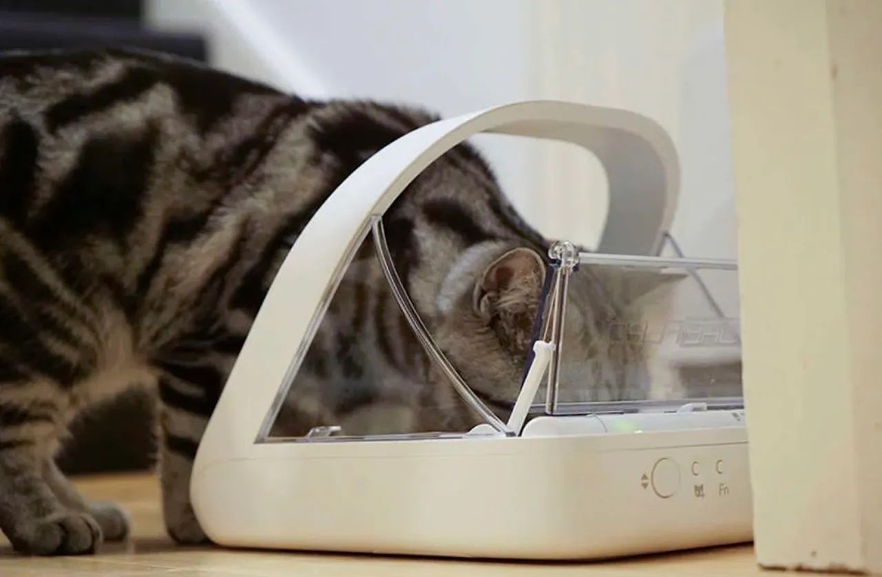 Comedouro Inteligente Sure Petcare para Cães e Gatos 240 ml - Foto 2