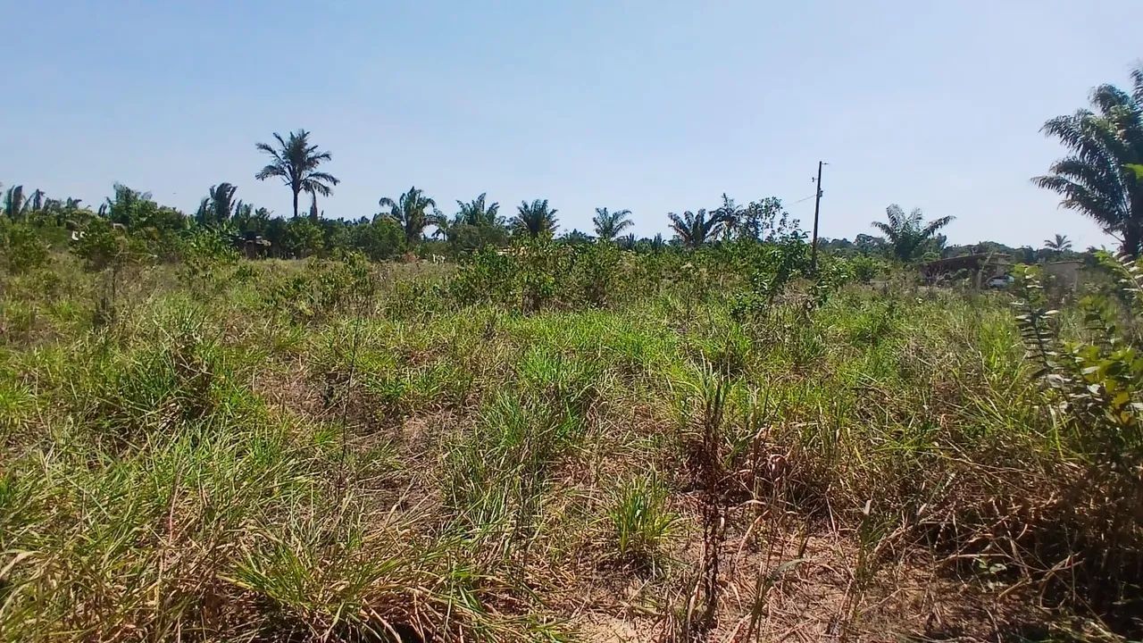 Terreno à venta - Foto 2