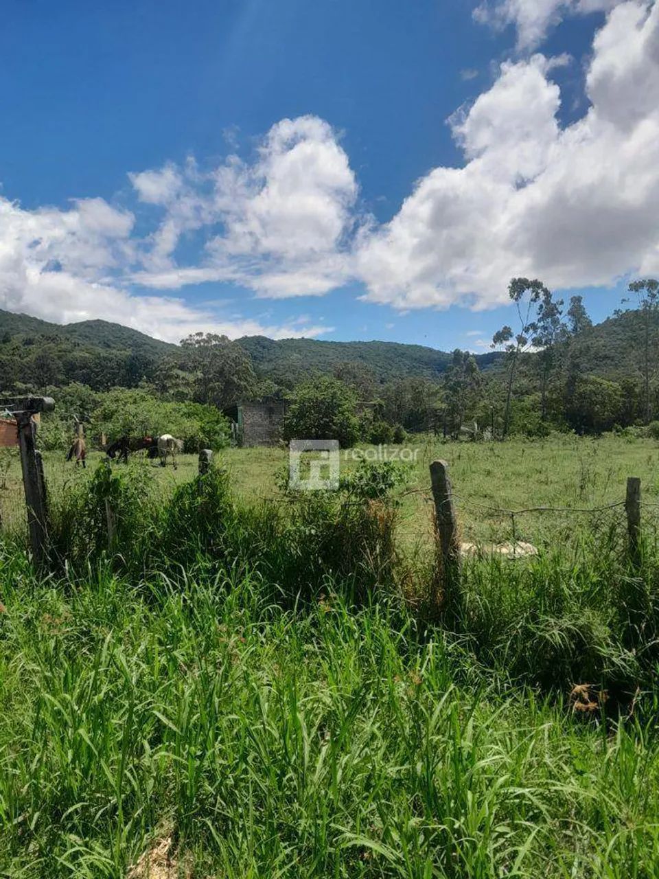 Terreno Residencial à venda, Ratones, Florianópolis - TE0124. - Foto 4
