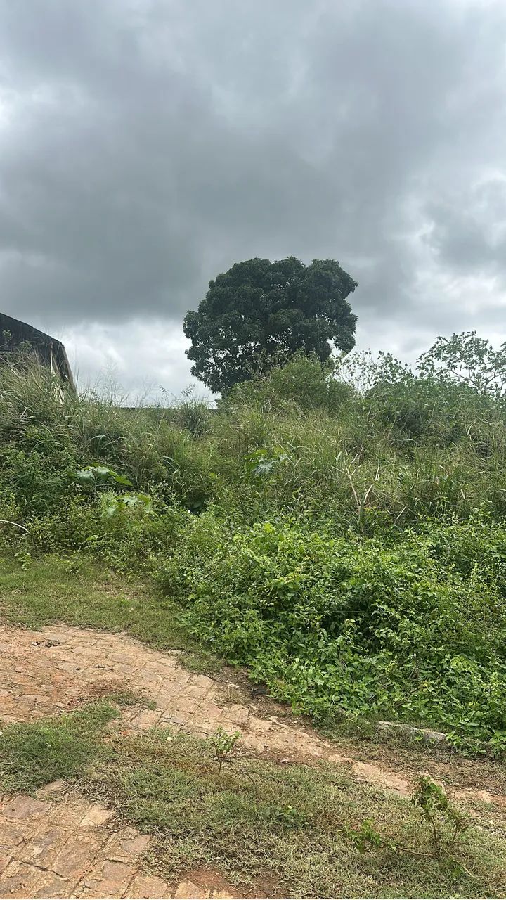 Vendo terreno área urbana  - Foto 3