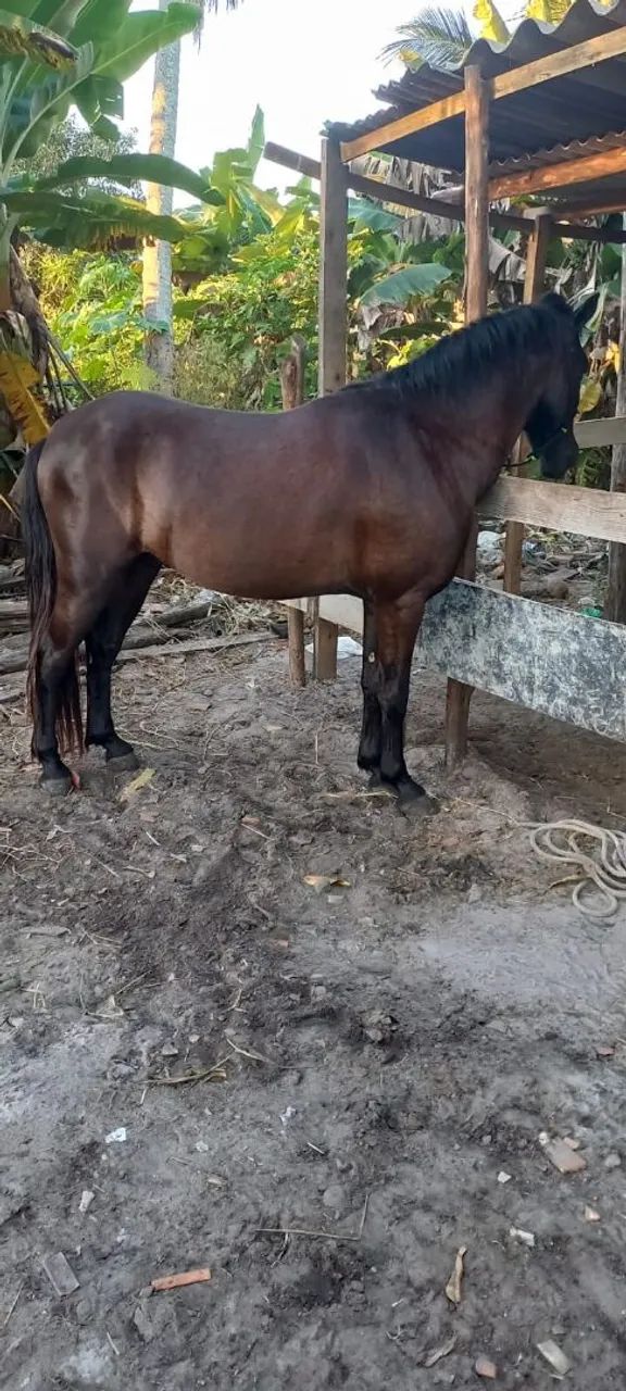 Vendo  - Foto 2