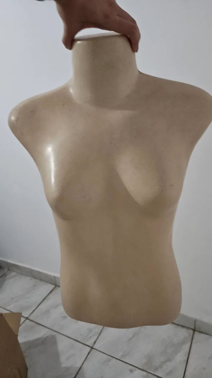 Busto feminino
