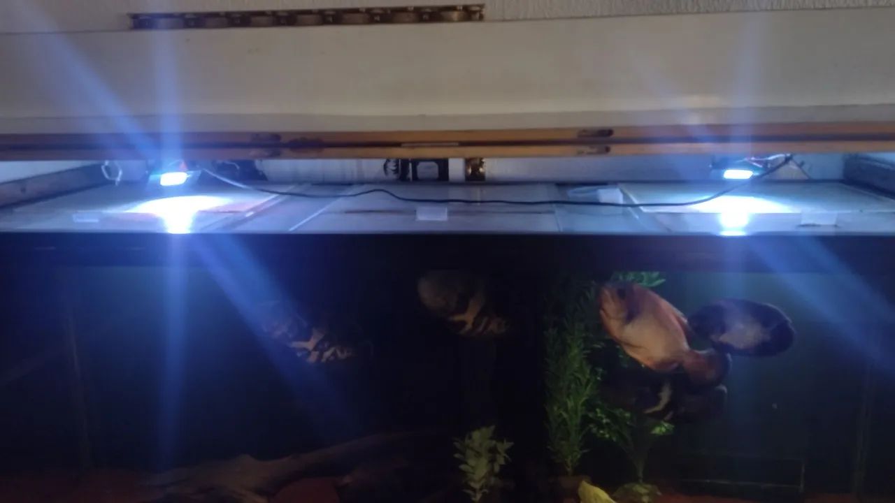 Aquário 450 litros  - Foto 3