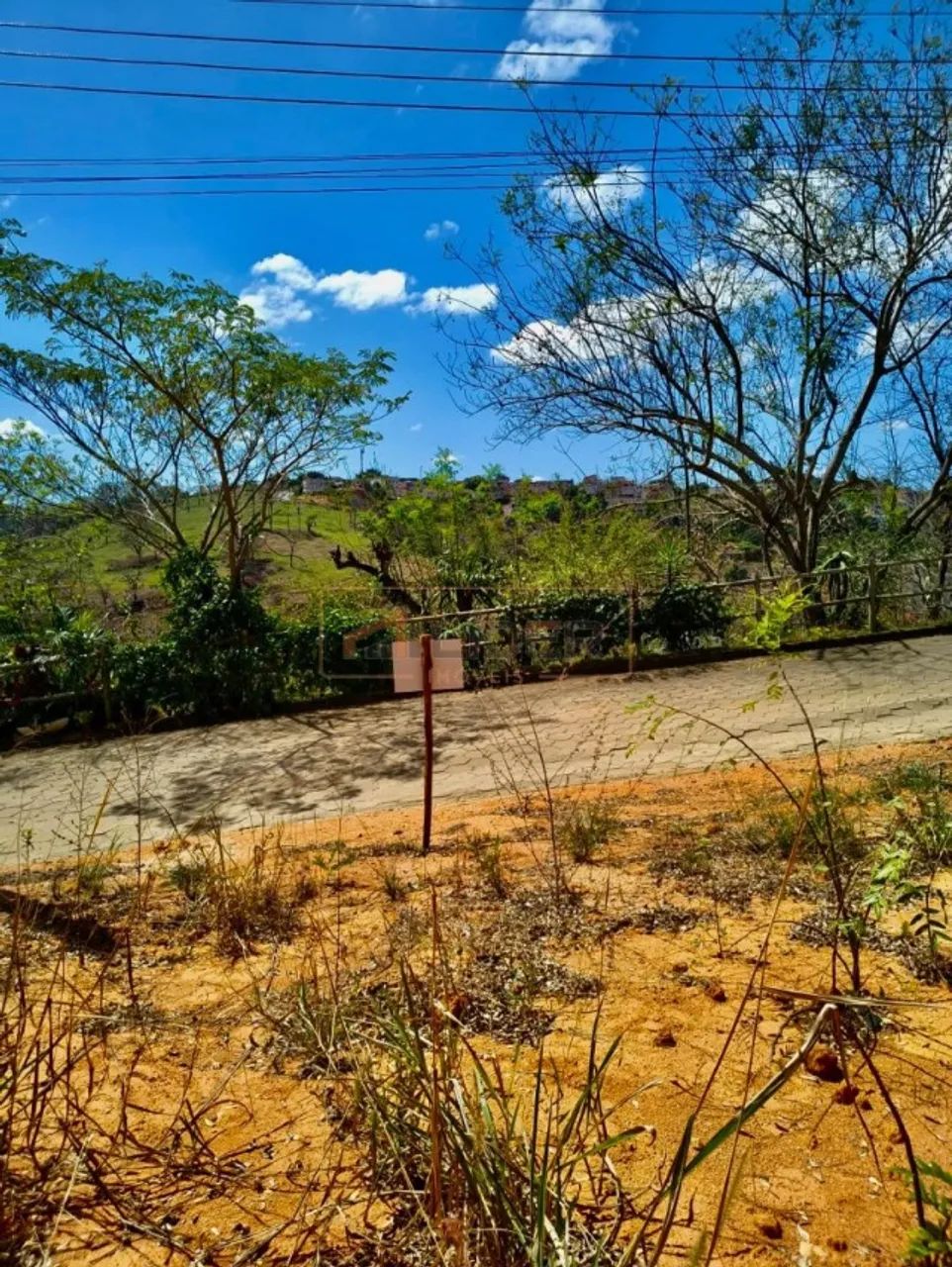 Vendo Lote no Parque dos Jacarandás - Foto 3