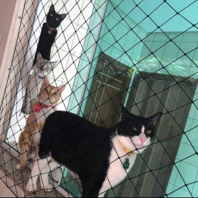 Telas de Proteção  - Foto 4