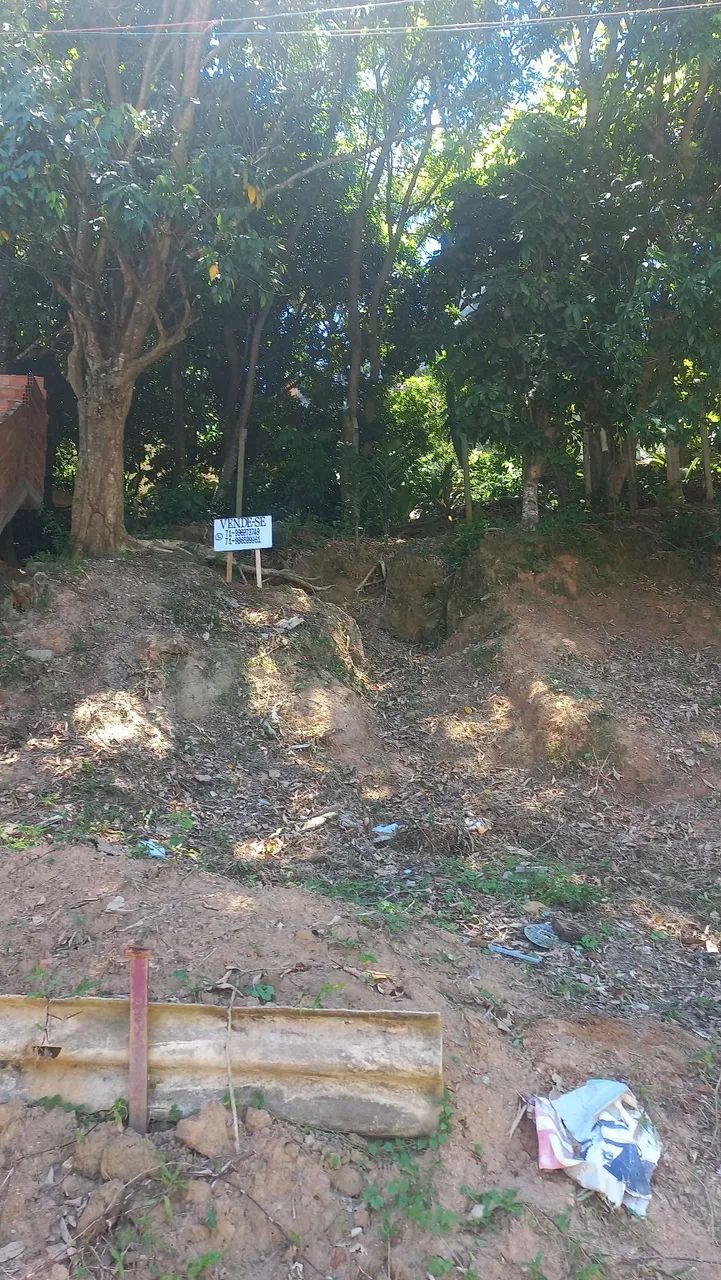 Terreno - Foto 2