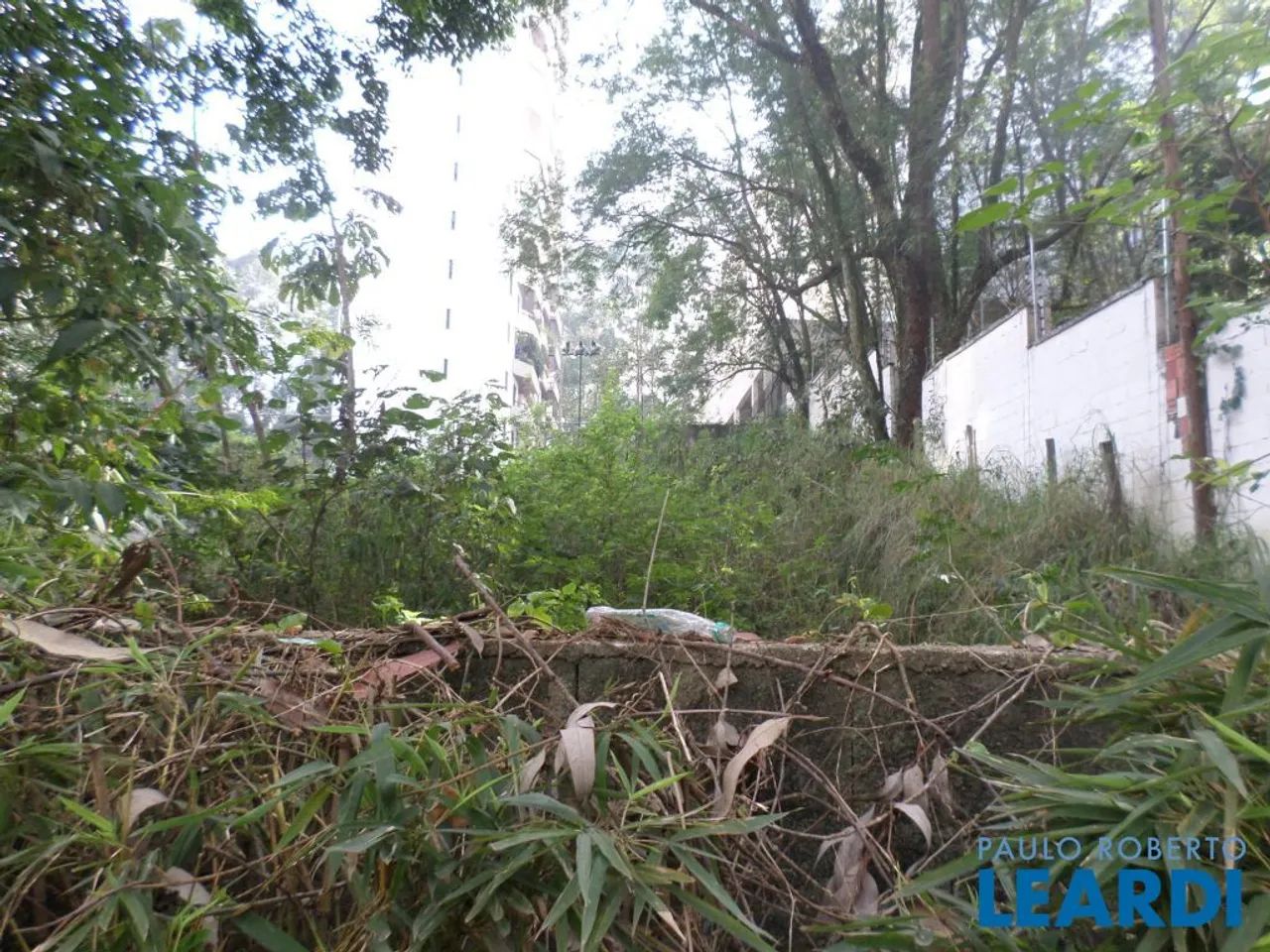 AREA - MORUMBI - SP - Foto 5