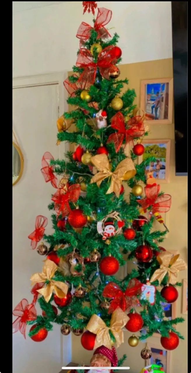 Árvore de Natal