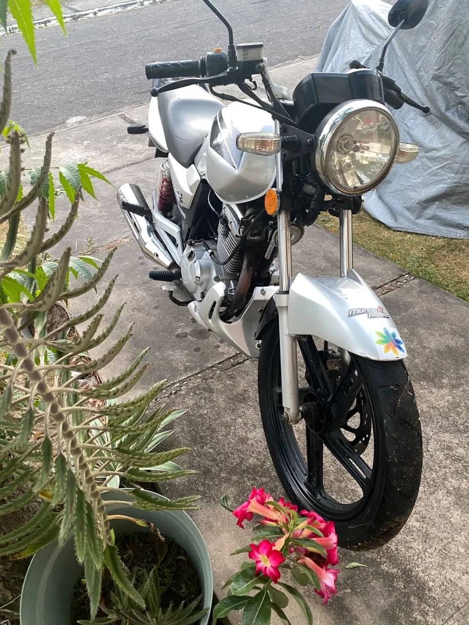 Vendo *99 - Foto 5